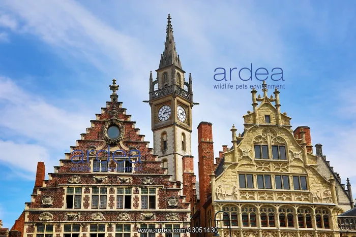 : Ghent clock tower and the Vrije Schippers Guildhall : Ghent clock tower and the Vrije Schippers Guildhall