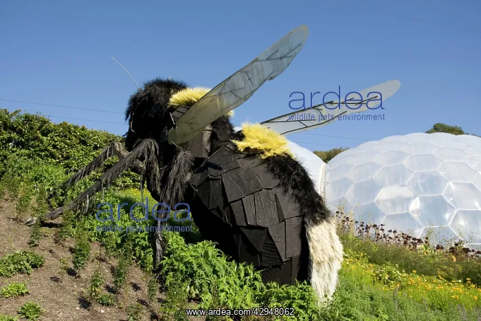 : Giant bee model - Eden Project : Giant bee model - Eden Project