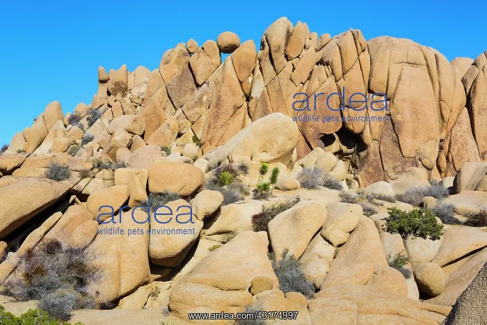 : Giant Marbles, Joshua Tree National Park, California : Giant Marbles, Joshua Tree National Park, California