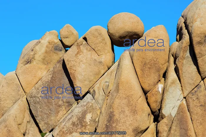 : Giant Marbles, Joshua Tree National Park, California : Giant Marbles, Joshua Tree National Park, California