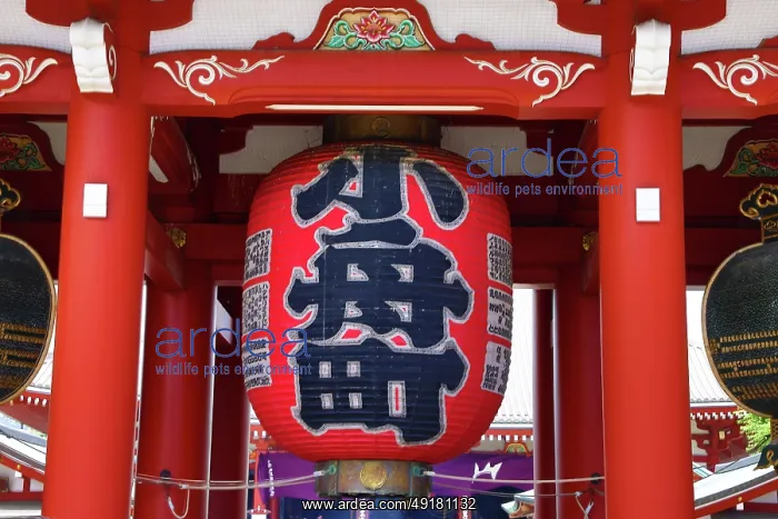  : Giant Red Lantern in the Hozomon Gate, Senso-Ji Temple, Asakusa, Tokyo, Japan