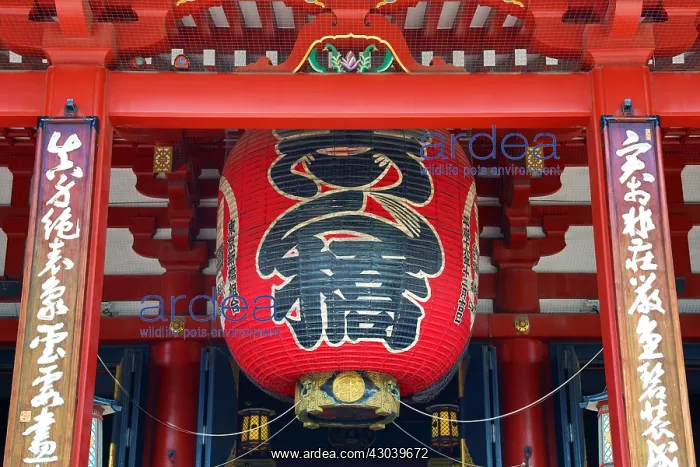 : Giant red lantern at the main Senso-Ji Temple : Giant red lantern at the main Senso-Ji Temple