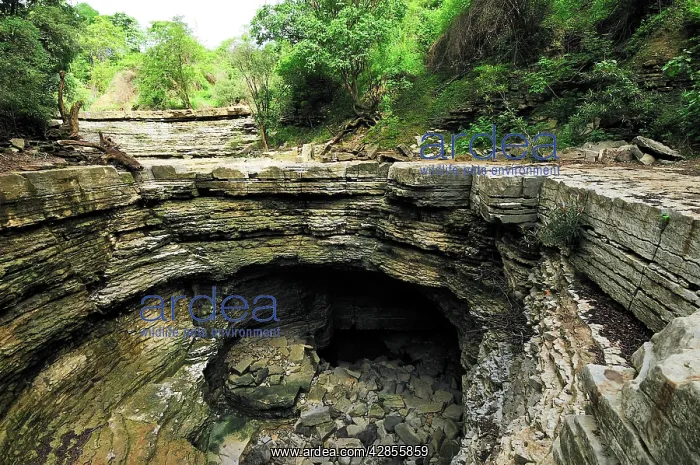  : Giant sink hole during the dry season