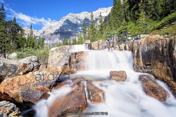 : Giant Step Waterfall, Paradise Valley, Banff National : Giant Step Waterfall, Paradise Valley, Banff National