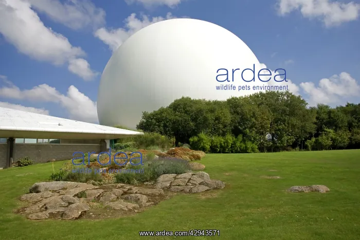 : Giant white radar dome communications centre : Giant white radar dome communications centre