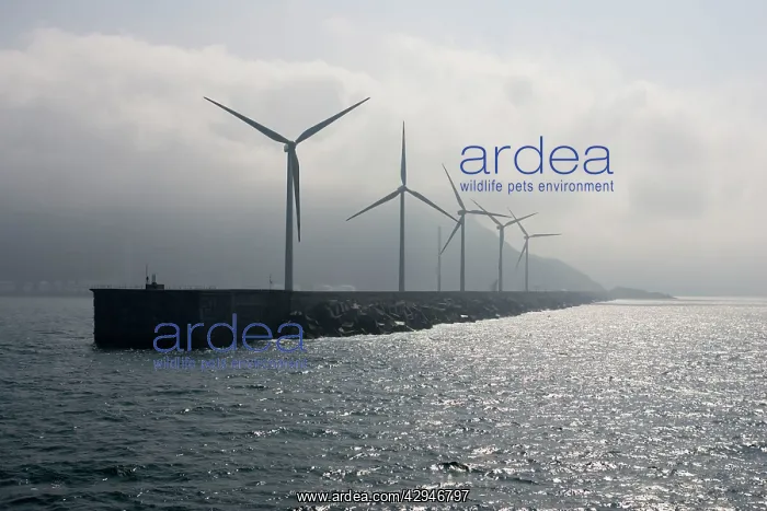  : Giant wind turbines on breakwater