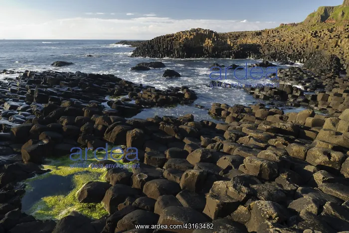  : The Giant's Causeway
