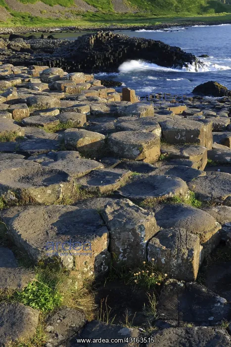 : The Giant's Causeway : The Giant's Causeway