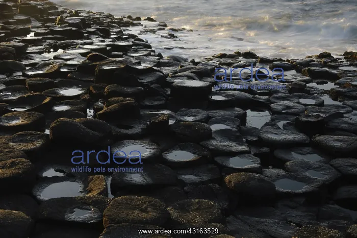  : The Giant's Causeway