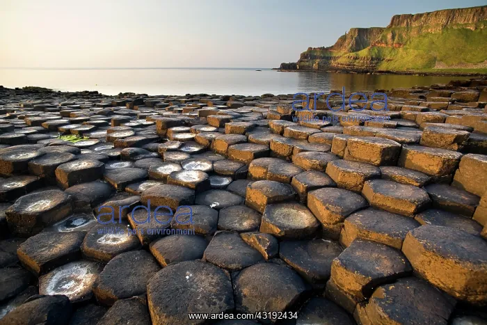: Giants Causeway basalt rocks, County Antrim, Northern : Giants Causeway basalt rocks, County Antrim, Northern