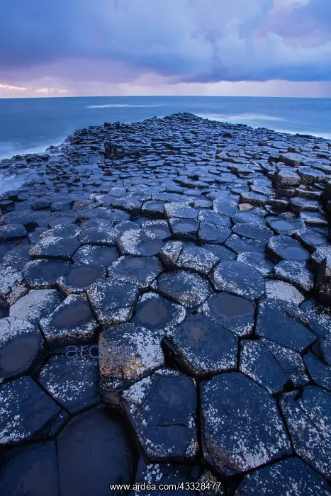 : Giant's Causeway, columnar basalt columns, result : Giant's Causeway, columnar basalt columns, result