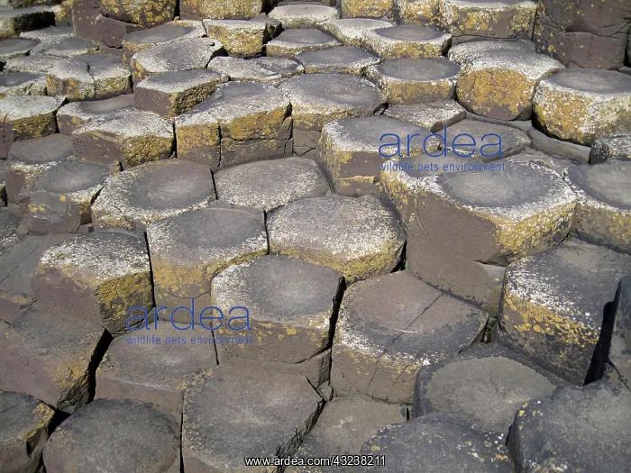 : Giants Causeway, County Antrim, Northern : Giants Causeway, County Antrim, Northern