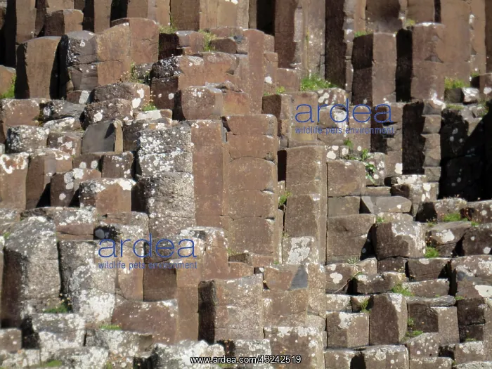 : Giants Causeway, County Antrim, Northern : Giants Causeway, County Antrim, Northern