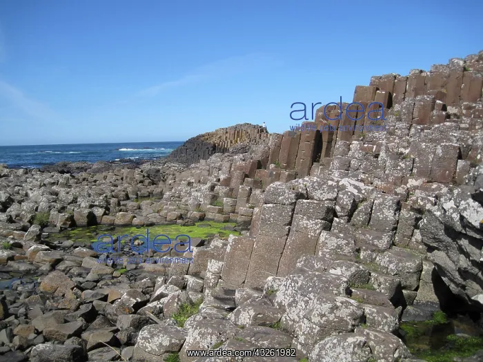  : Giants Causeway, County Antrim, Northern