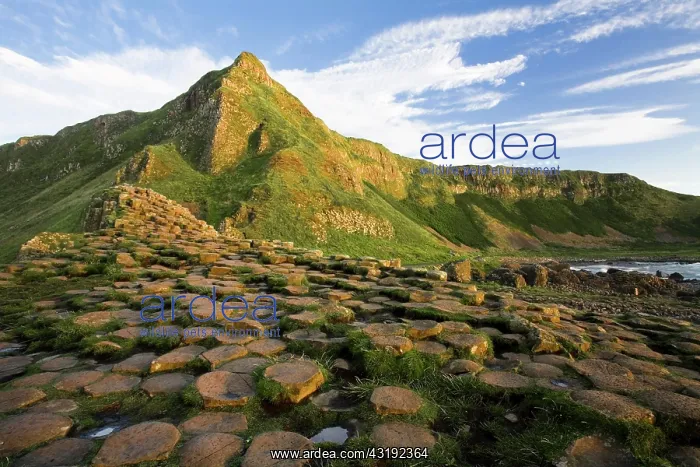 : Giant's Causeway, County Antrim, Northern Ireland : Giant's Causeway, County Antrim, Northern Ireland