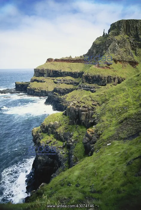 : Giant's Causeway, Northern Island : Giant's Causeway, Northern Island
