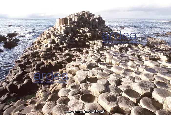: Giant's Causeway, showing hexagonal basalt columns : Giant's Causeway, showing hexagonal basalt columns