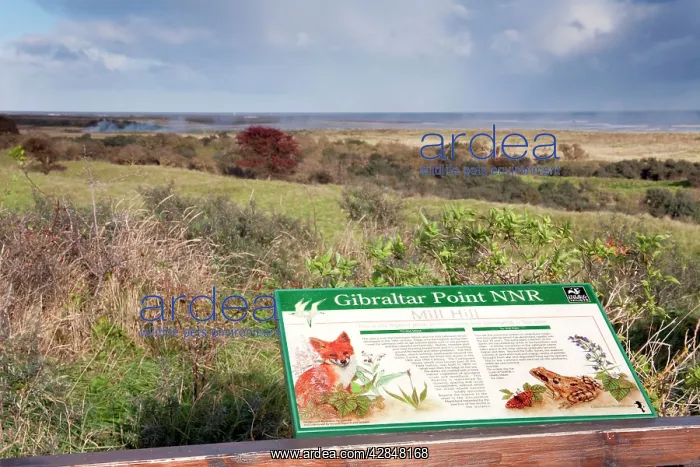 : Gibraltar Point : Gibraltar Point