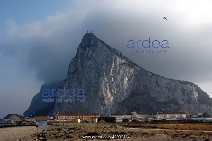  : Gibraltar - Rock of Gibraltar with Levante  /  East Wind