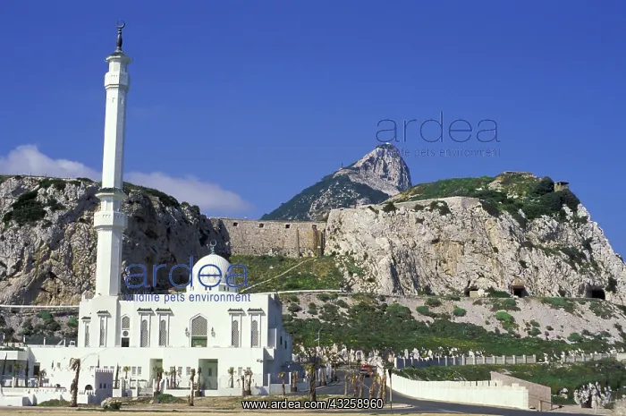  : Gibralter. Mosque