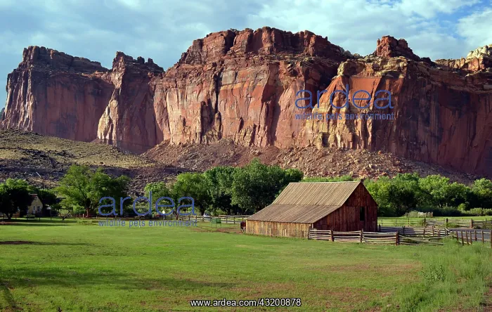 : Gifford Farm House Museum, Castle Rock at the back : Gifford Farm House Museum, Castle Rock at the back