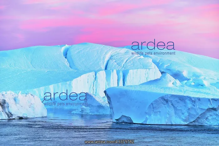  : Gigantic icebergs in the light of the blue hour