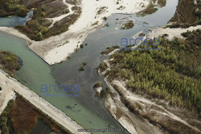 : Gila and Colorado Rivers : Gila and Colorado Rivers
