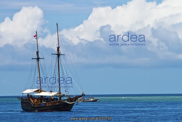 : Gili Islands, Indonesia. Gili Trawangan : Gili Islands, Indonesia. Gili Trawangan