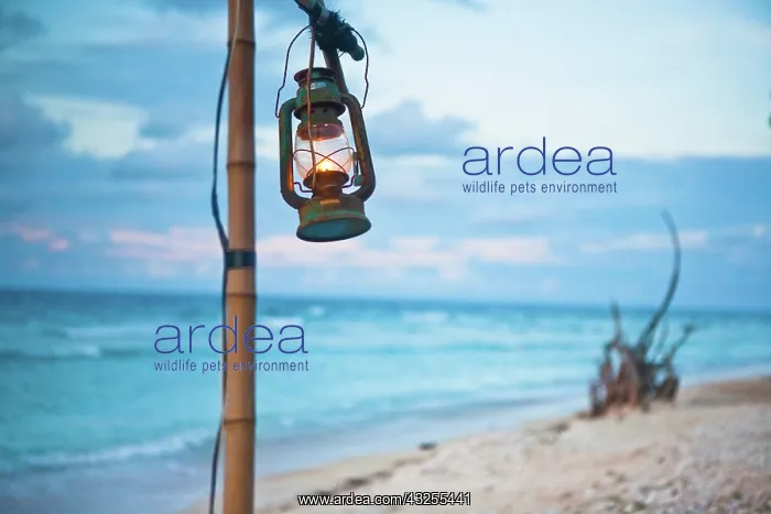 : Gili Islands, Indonesia. Gili Trawangan : Gili Islands, Indonesia. Gili Trawangan