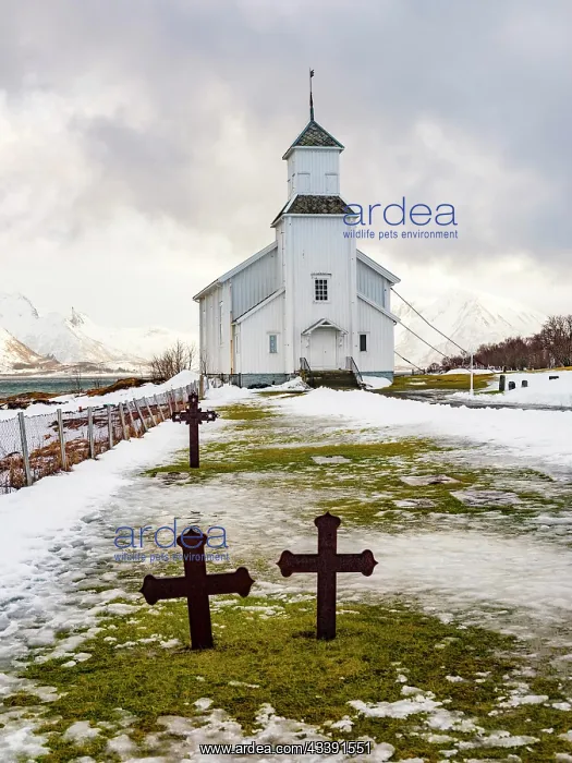 : Gimscy church with cemetery, snow-covered mountains : Gimscy church with cemetery, snow-covered mountains