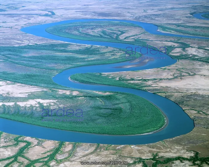 : Gin Arm Creek aerial showing oxbows (meanders) : Gin Arm Creek aerial showing oxbows (meanders)