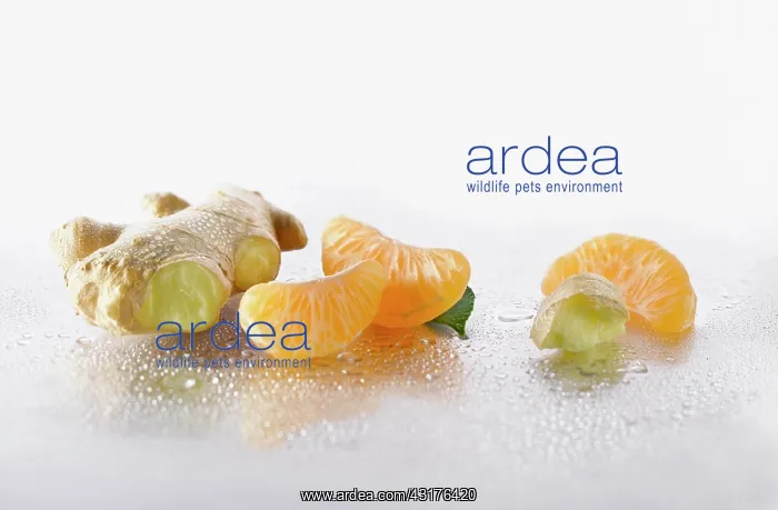  : Ginger, Zingiber officinale root with Mandarin