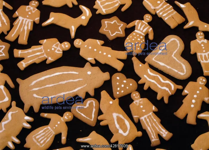 : GINGERBREAD BISCUITS : GINGERBREAD BISCUITS
