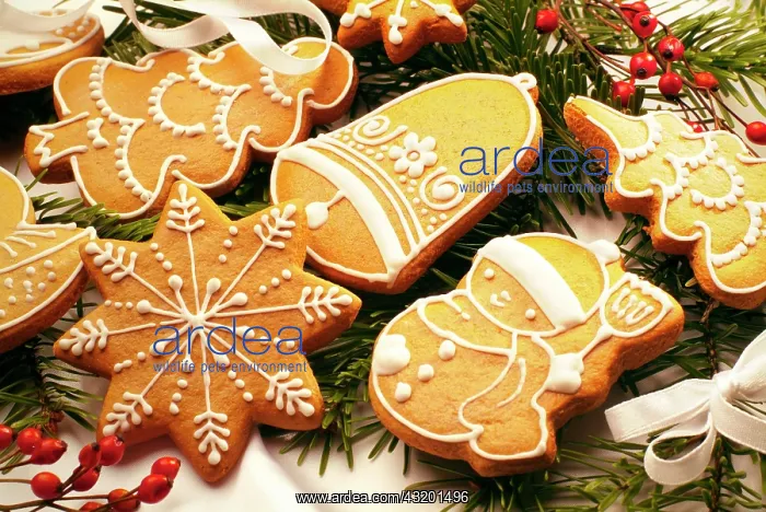: Gingerbread figures, Christmas cookies : Gingerbread figures, Christmas cookies