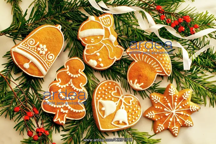  : Gingerbread figures, Christmas cookies