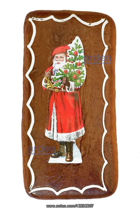 : Gingerbread with Santa motif : Gingerbread with Santa motif