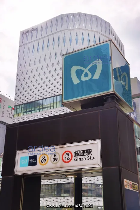 : Ginza Subway Station operated by Tokyo Metro in Ginza, Tokyo : Ginza Subway Station operated by Tokyo Metro in Ginza, Tokyo
