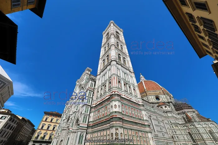 : Giotto's Bell Tower and the Duomo, the Cathedral : Giotto's Bell Tower and the Duomo, the Cathedral