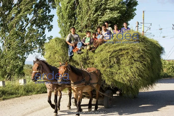 : Gipsy family bringing home the hay from the fields : Gipsy family bringing home the hay from the fields