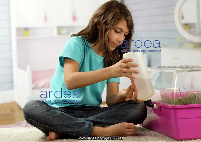  : Girl attending to Guinea Pig cage