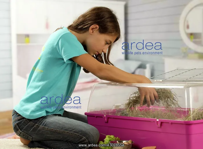  : Girl attending to Guinea Pig cage