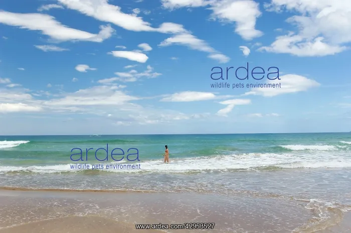 : A girl baths and watches a passing boat on a beach : A girl baths and watches a passing boat on a beach