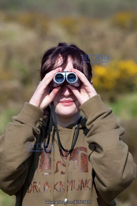 : Girl Birdwatching using binoculars : Girl Birdwatching using binoculars