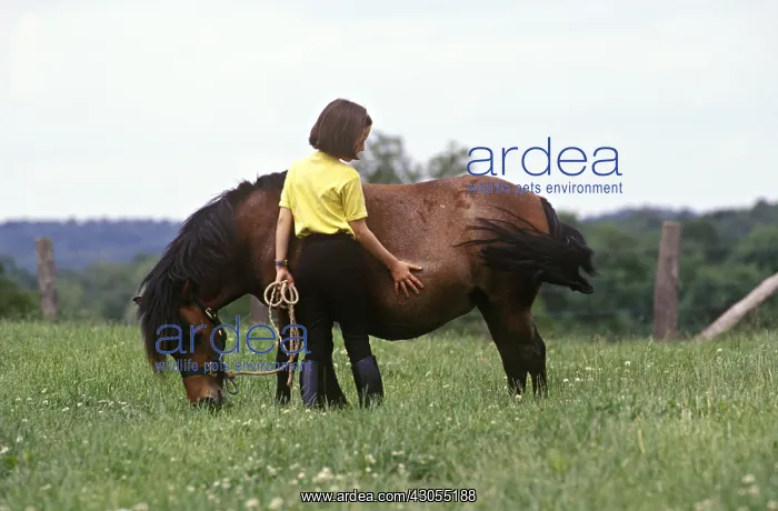 : Girl caressing her pony : Girl caressing her pony