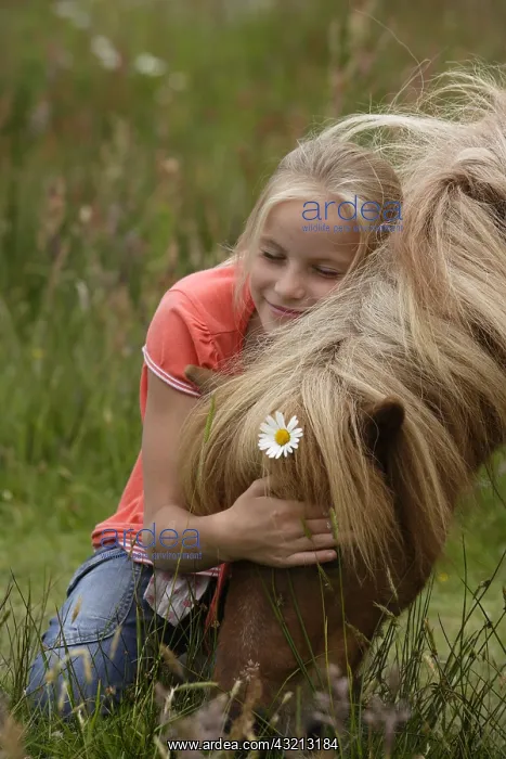 : Girl caressing her Pony Netherlands : Girl caressing her Pony Netherlands
