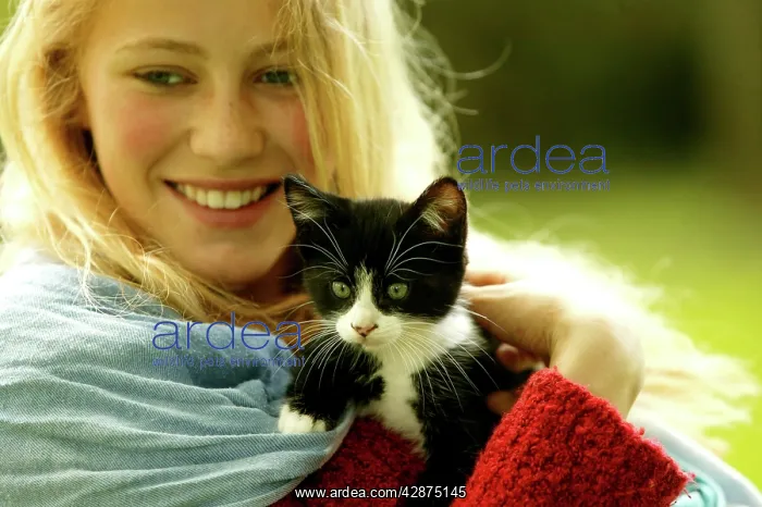  : Girl and Cat