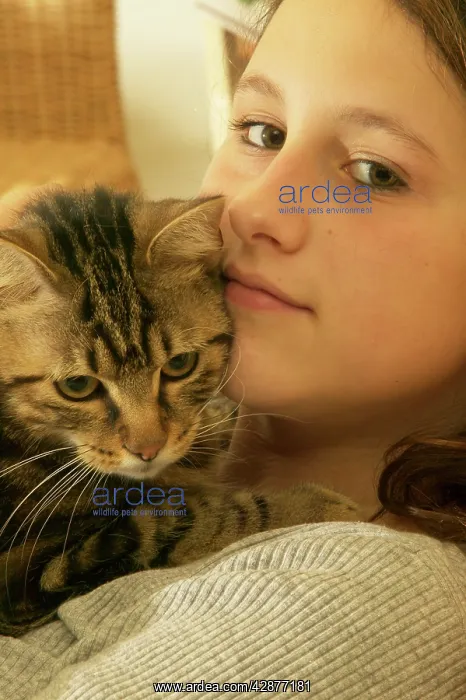  : GIRL - with cat