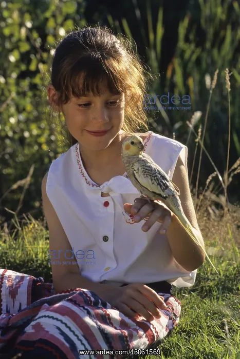 : Girl with Cockatiel elegant on the finger : Girl with Cockatiel elegant on the finger