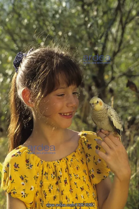 : Girl with Cockatiel elegant on the finger : Girl with Cockatiel elegant on the finger