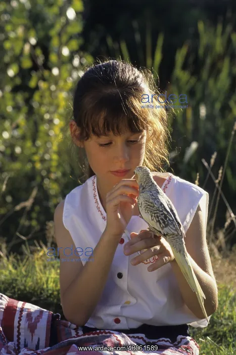: Girl with Cockatiel elegant on the finger : Girl with Cockatiel elegant on the finger